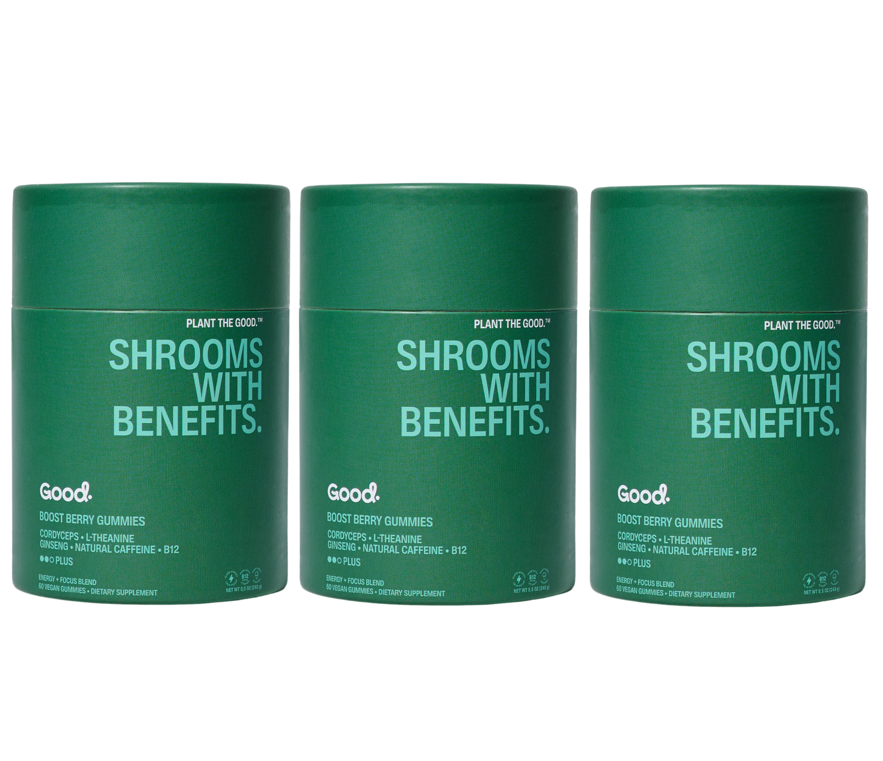 Shrooms with Benefits. Energy & Focus