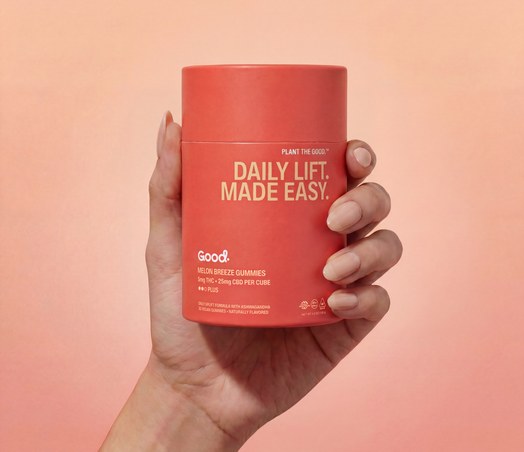 Daily Lift Made Easy - Hybrid