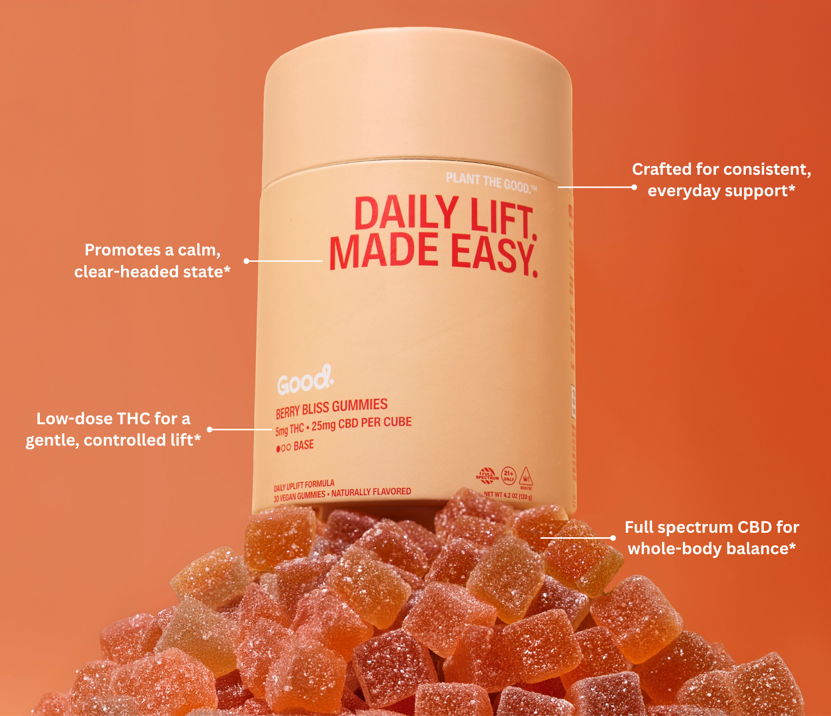 Daily Lift Made Easy Base