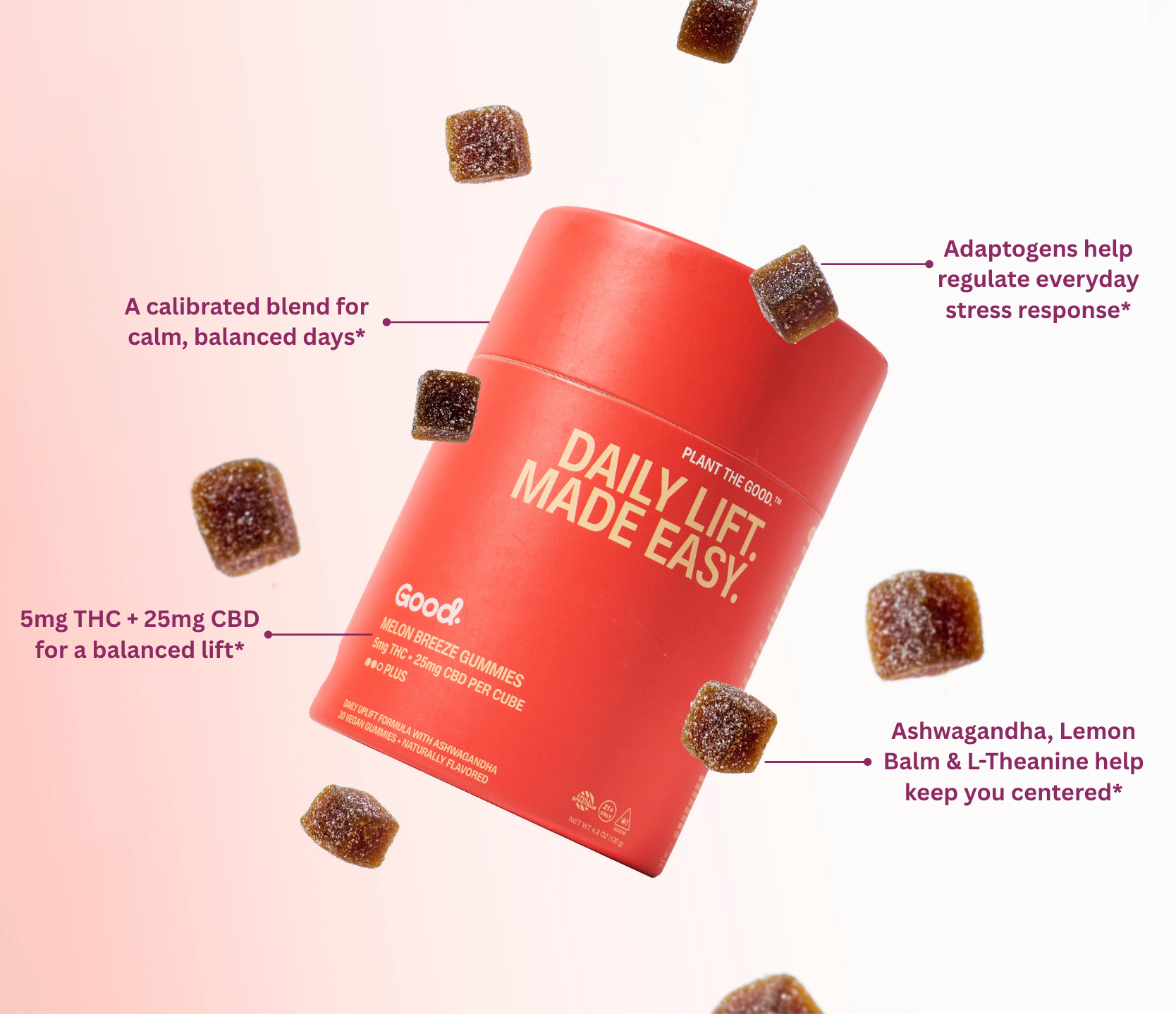 Daily Lift Made Easy - Hybrid