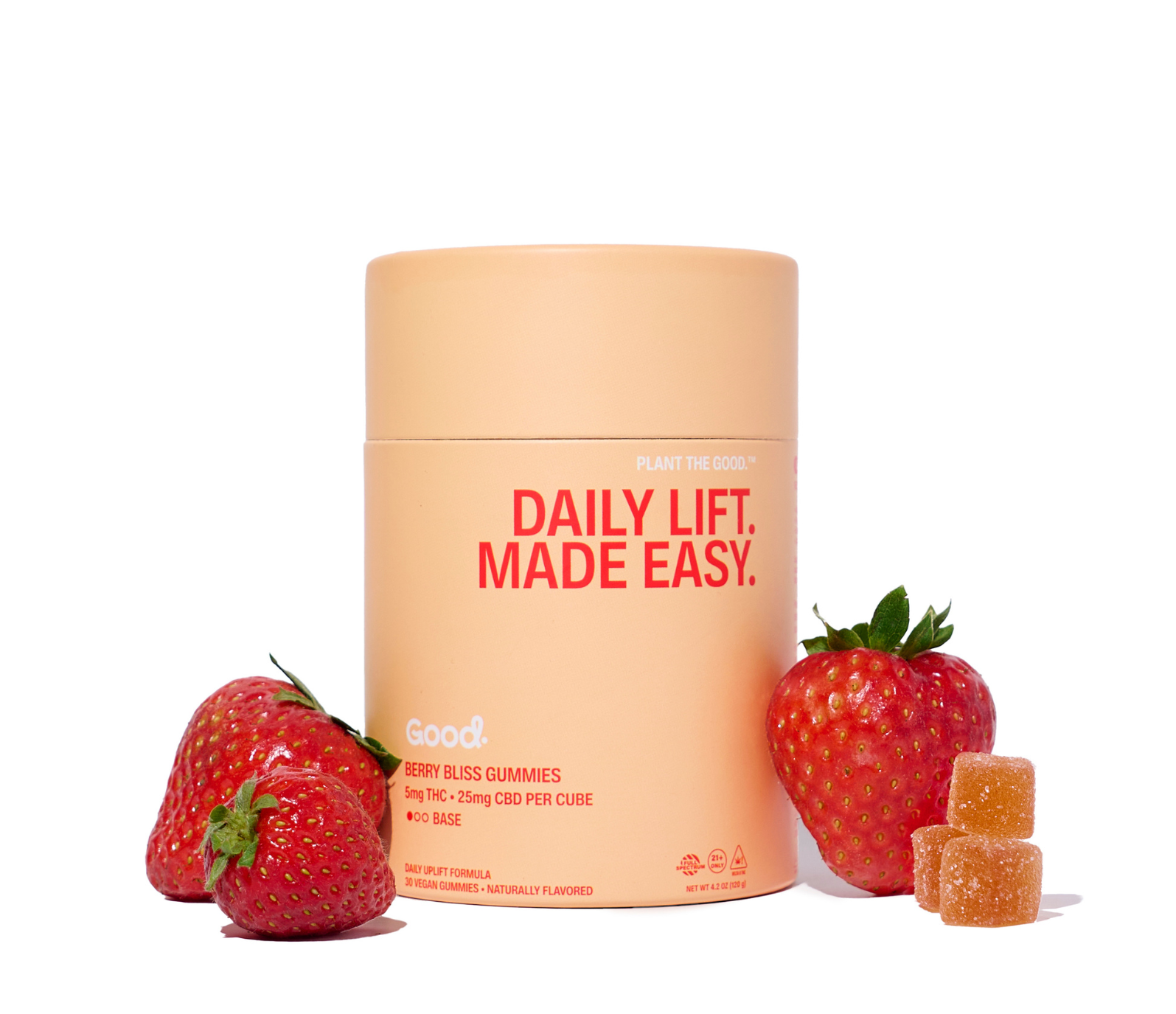 Daily Lift Made Easy Base