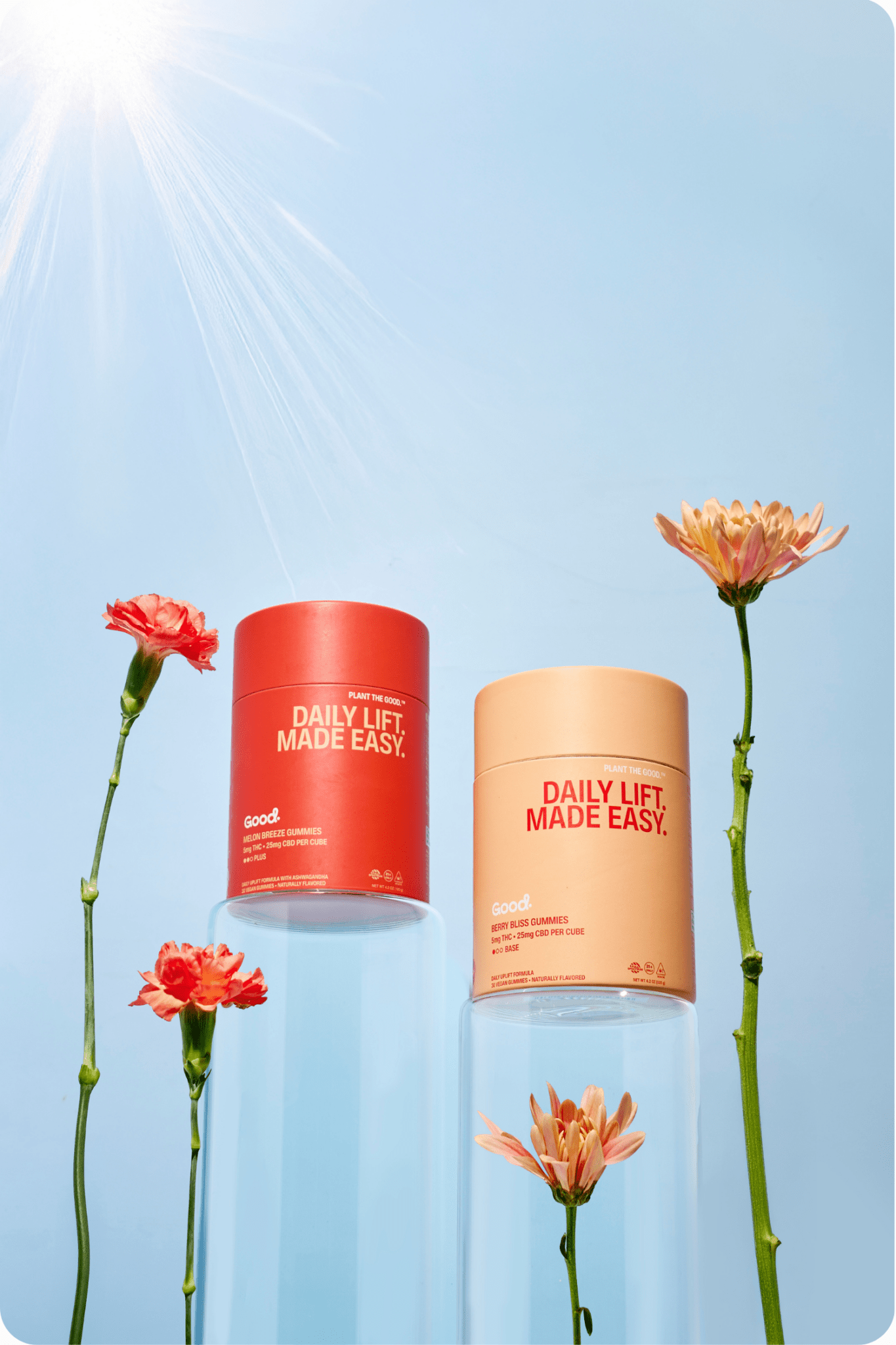 Daily Lift Mood Stack - Good Organics