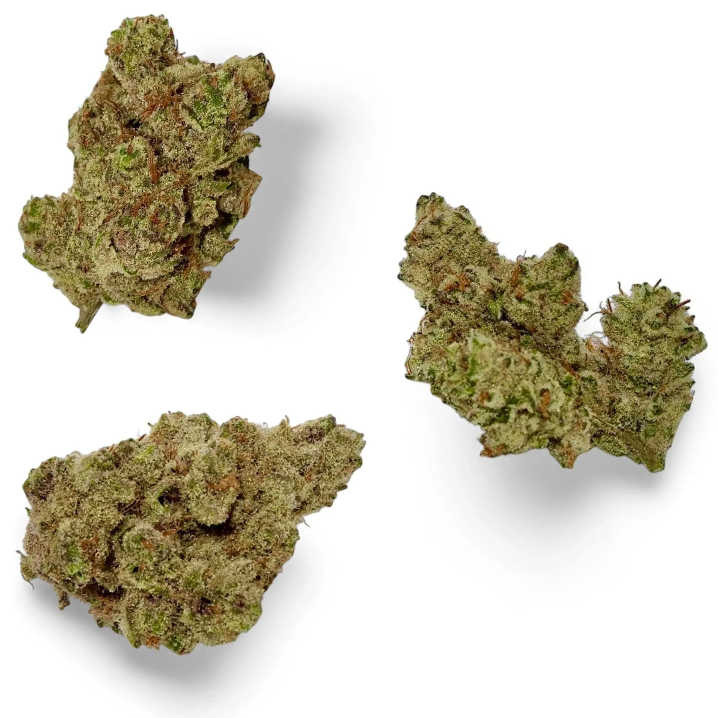 Hybrid vs. Indica vs. Sativa: What They Really Mean for Your Day
