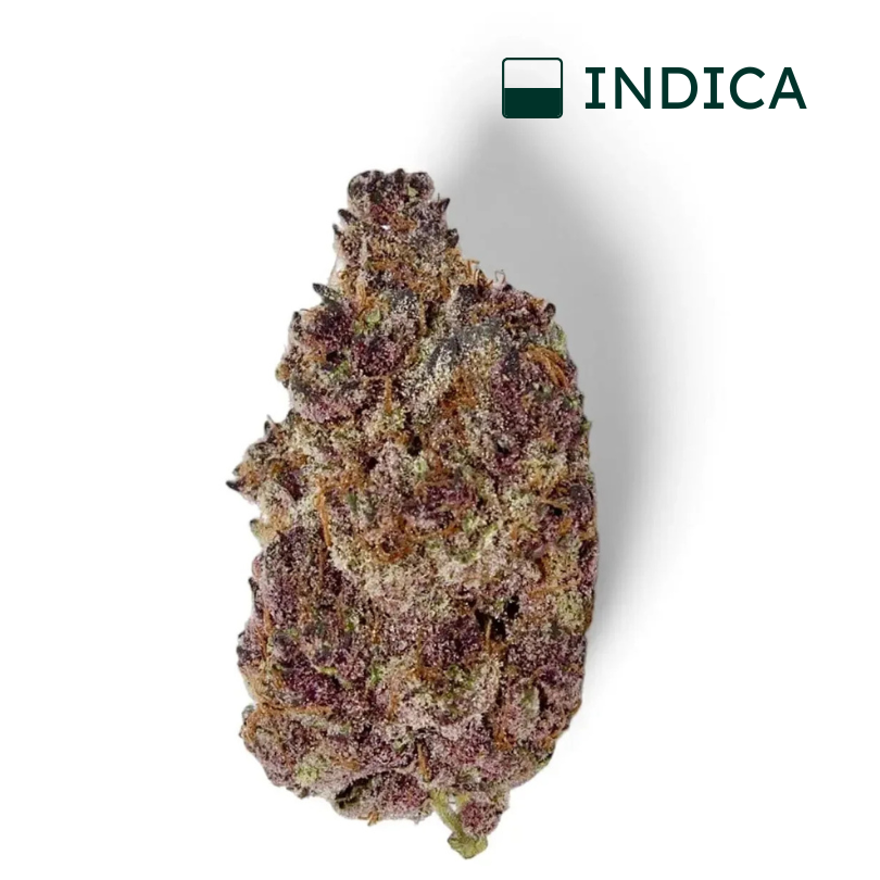 Double Cherry Pie THCA Flower - Indica 34%