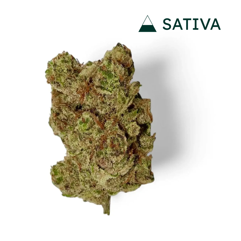 Banana Punch Cake THCA Flower - Sativa 32%