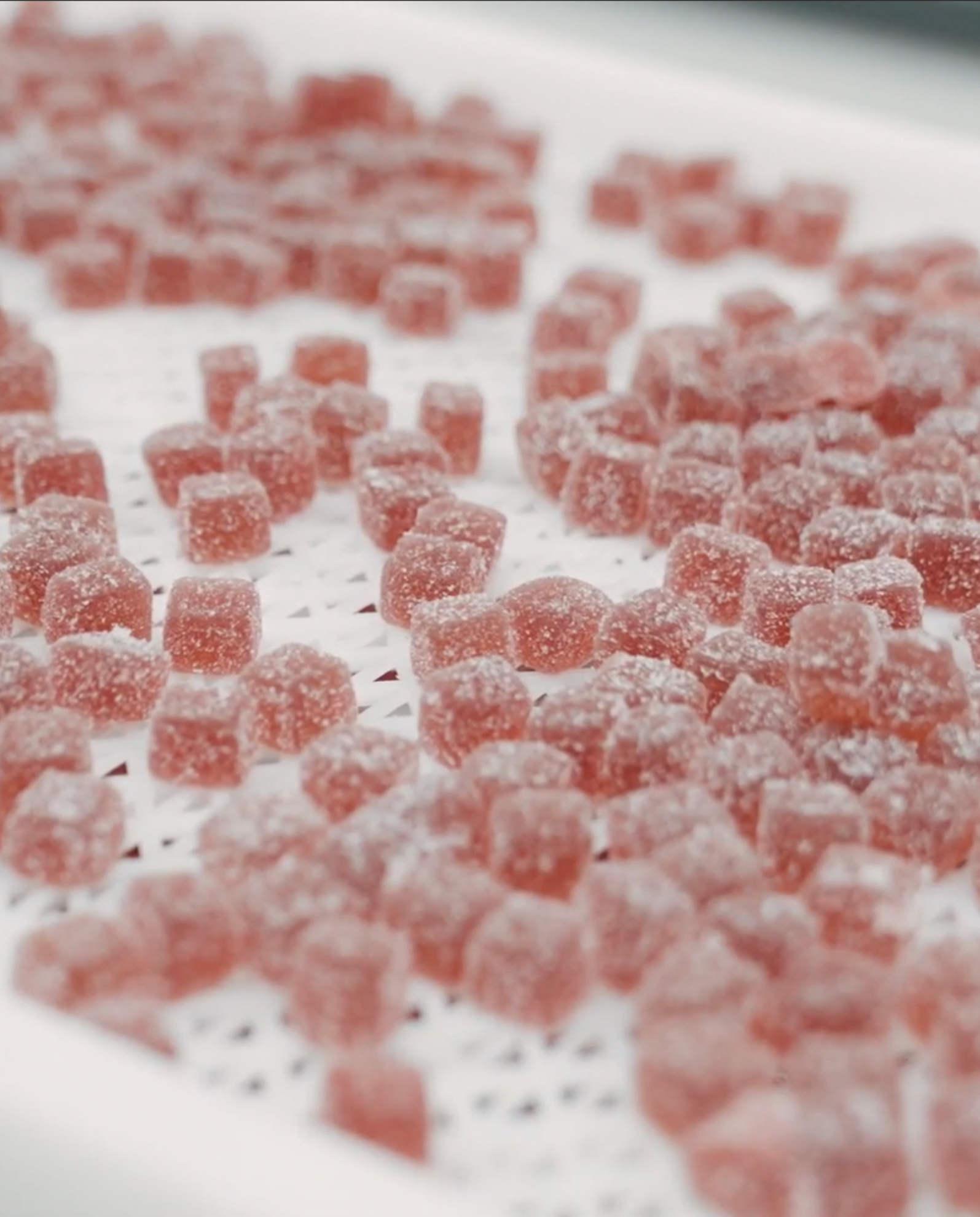 Quality you can trust.