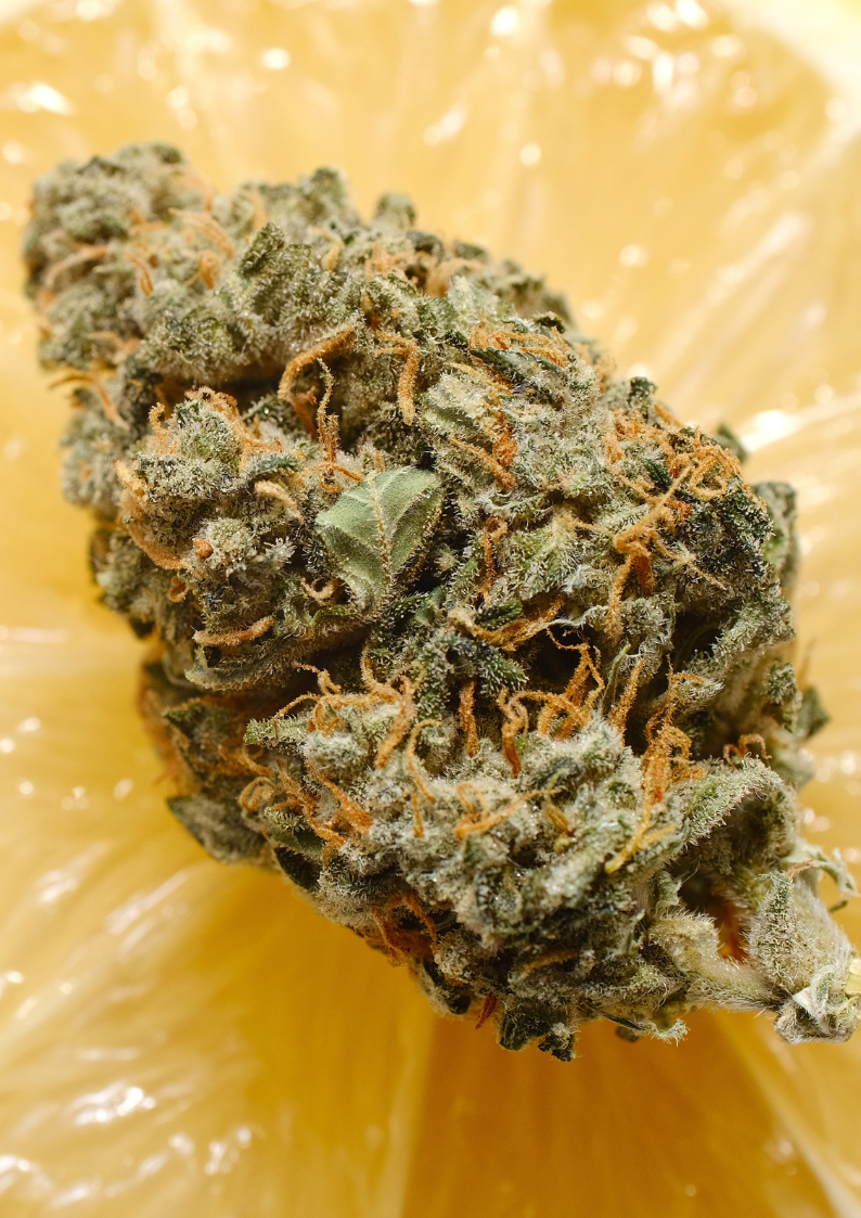 Delta-9 THC
