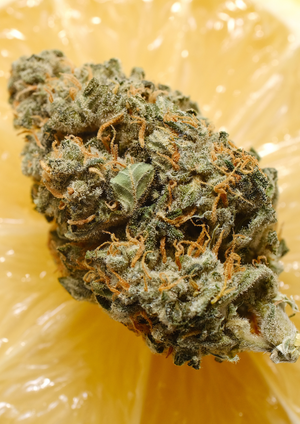 Delta-9 THC